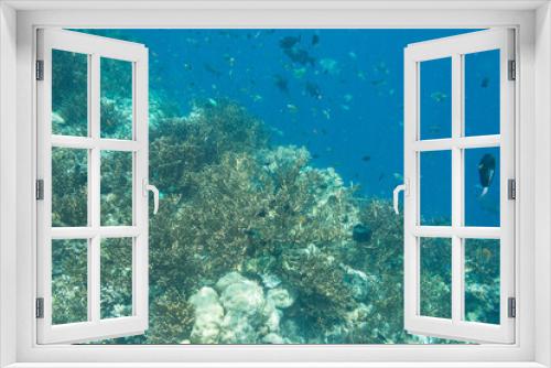 Fototapeta Naklejka Na Ścianę Okno 3D - Underwater Island of Menjangan