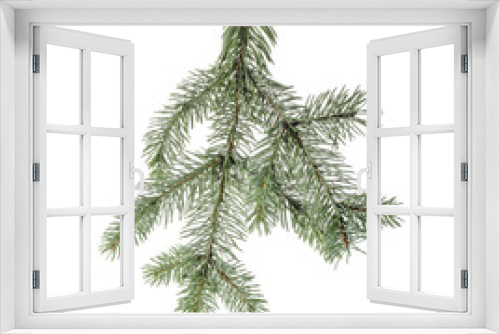 Fototapeta Naklejka Na Ścianę Okno 3D - Christmas tree branch on white background