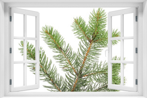 Fototapeta Naklejka Na Ścianę Okno 3D - Christmas tree branch on white background