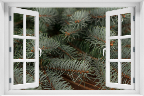 Fototapeta Naklejka Na Ścianę Okno 3D - Close-up of green fir winter tree branches.