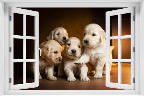 Fototapeta Naklejka Na Ścianę Okno 3D - golden retriever cute puppies magical christmas photo
