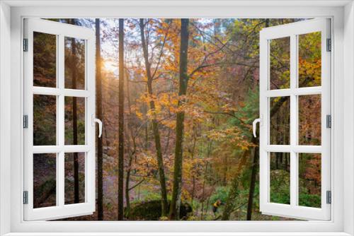 Fototapeta Naklejka Na Ścianę Okno 3D - the forest in autumn
