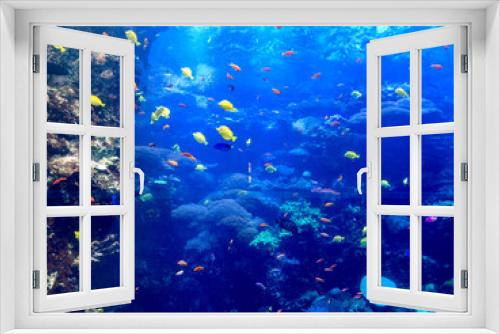 Fototapeta Naklejka Na Ścianę Okno 3D - An aquarium with a fantastic world