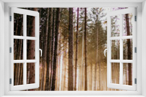 Fototapeta Naklejka Na Ścianę Okno 3D - Sonnenlicht im Wald 