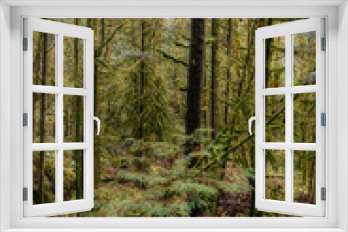 Fototapeta Naklejka Na Ścianę Okno 3D - Mystical View of the Rain Forest during a foggy and rainy Fall Season. Alice Lake Provincial Park, Squamish, North of Vancouver, British Columbia, Canada.