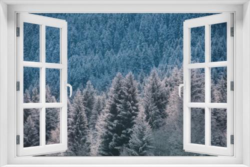 Fototapeta Naklejka Na Ścianę Okno 3D - Frozen Spruce Forest In The Mountains