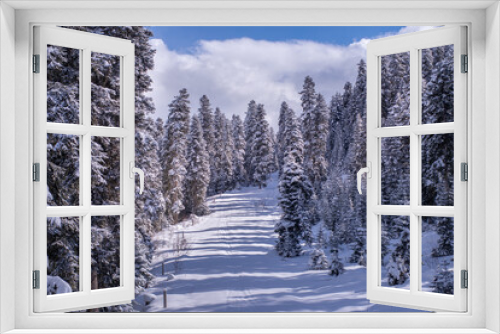 Fototapeta Naklejka Na Ścianę Okno 3D - Sunny And Snowy Spruce Forest