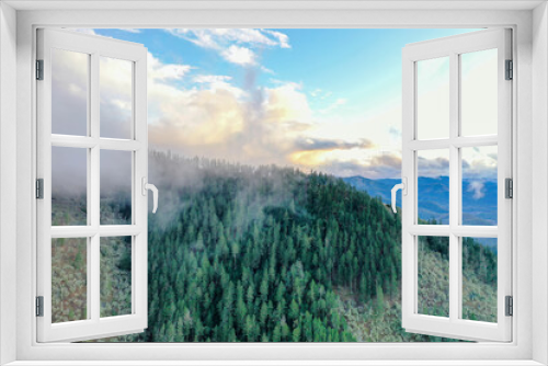 Fototapeta Naklejka Na Ścianę Okno 3D - Beautiful forest on a mountain under a cloudy sky