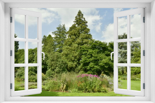 Fototapeta Naklejka Na Ścianę Okno 3D - Parterres de végétation luxuriante entre les différents arbres d'une incroyable beauté à l'arboretum de Kalmthout au nord d'Anvers 