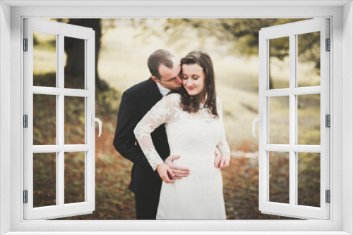 Romantic, fairytale, happy newlywed couple hugging and kissing in a park, trees in background