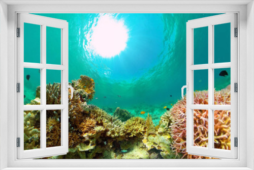 Fototapeta Naklejka Na Ścianę Okno 3D - Coral reef underwater with fishes and marine life. Coral reef and tropical fish. Philippines.