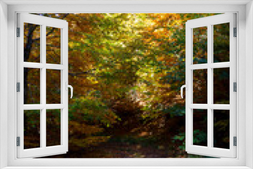 Fototapeta Naklejka Na Ścianę Okno 3D - autumnal path in the woods with warm colors