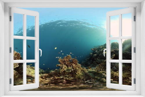 Fototapeta Naklejka Na Ścianę Okno 3D - Sea coral reef. Underwater Tropical Sea Seascape. Tropical fish reef marine. Philippines. Virtual Reality 360.