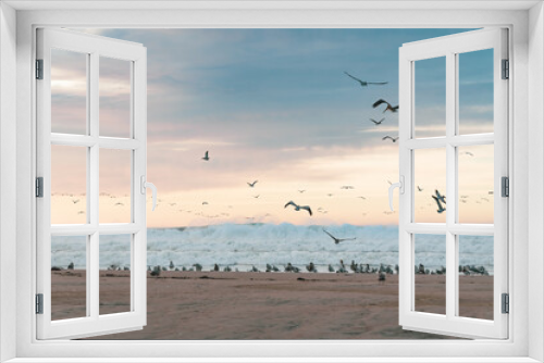 Fototapeta Naklejka Na Ścianę Okno 3D - Flock of birds on the beach at sunset. Scenic view of Pacific ocean and beautiful sky on background, soft blue and pink colors