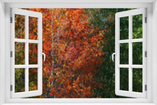 Fototapeta Naklejka Na Ścianę Okno 3D - Fall leaves of trees outdoors