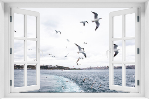 Fototapeta Naklejka Na Ścianę Okno 3D - View of Istanbul and seagulls from a ship, Turkey