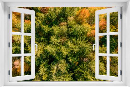 Fototapeta Naklejka Na Ścianę Okno 3D - Herbstwald von oben, Bayern, Deutschland