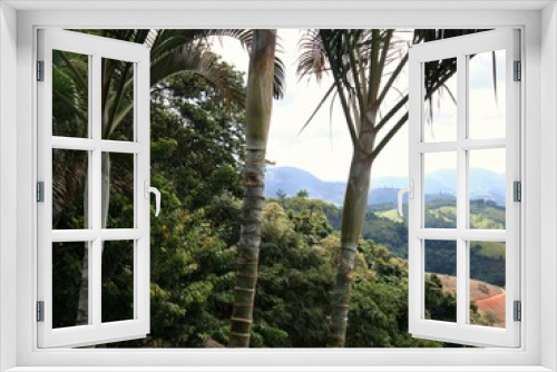Fototapeta Naklejka Na Ścianę Okno 3D - palm trees in the mountains
