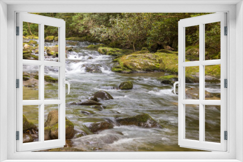 Fototapeta Naklejka Na Ścianę Okno 3D - Flowing river close up view from the Great Smoky Mountains