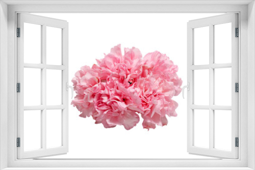 Fototapeta Naklejka Na Ścianę Okno 3D - カーネーションの花束