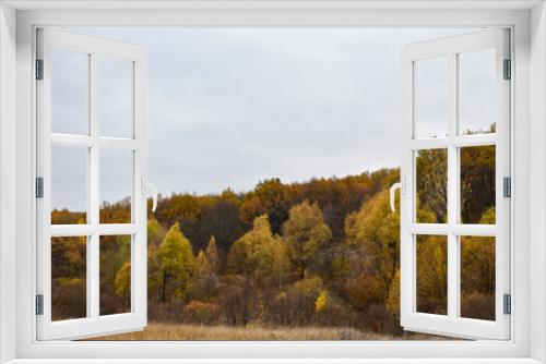Fototapeta Naklejka Na Ścianę Okno 3D - View of the forest hills in autumn
