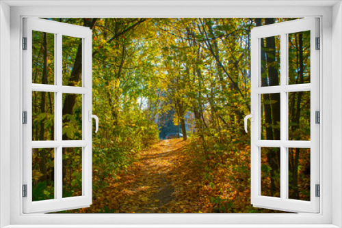 Fototapeta Naklejka Na Ścianę Okno 3D - The path that leaves the park is surrounded by autumn trees with a car at the end. The concept is nature walks with the family.