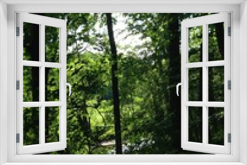 Fototapeta Naklejka Na Ścianę Okno 3D - forest in spring