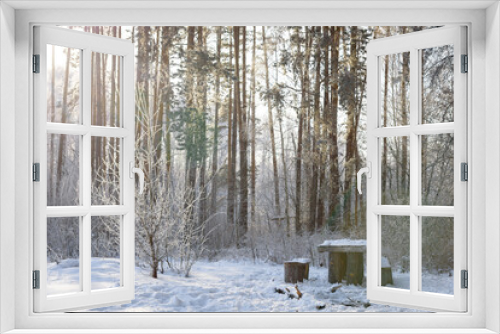 Fototapeta Naklejka Na Ścianę Okno 3D - Winter trees spruce with hoarfrost frosty and bench and table front view