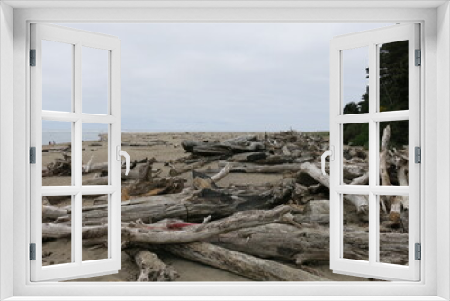 Fototapeta Naklejka Na Ścianę Okno 3D - Driftwood along the trail of Siletz Bay, Oregon coast