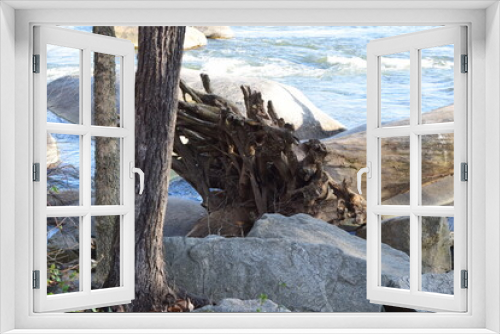 Fototapeta Naklejka Na Ścianę Okno 3D - Down tree at the river