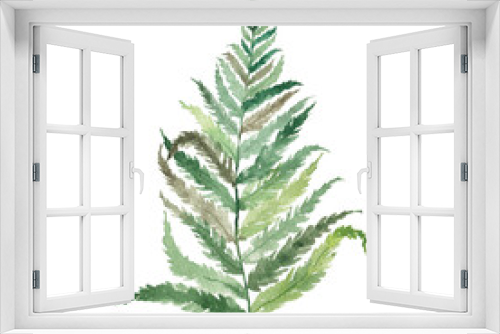 Fototapeta Naklejka Na Ścianę Okno 3D - Watercolor green fern leaf isolated on white background. Botanical illustration. Forest, tropics.