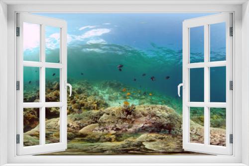 Fototapeta Naklejka Na Ścianę Okno 3D - Tropical sea and coral reef. Underwater Fish and Coral Garden. Underwater sea fish. Tropical reef marine. Colourful underwater seascape. Philippines. Virtual Reality 360.