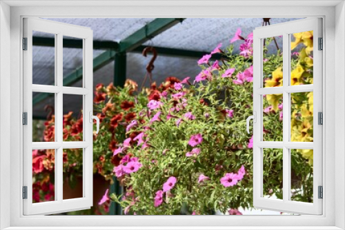 Fototapeta Naklejka Na Ścianę Okno 3D - flowers in a garden home