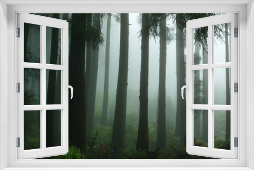 Fototapeta Naklejka Na Ścianę Okno 3D - Azores in the fog