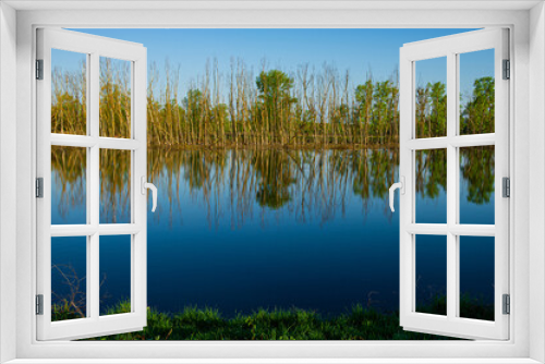 Fototapeta Naklejka Na Ścianę Okno 3D - Water in the river and trees of deciduous forest on a sunny day, rural season.