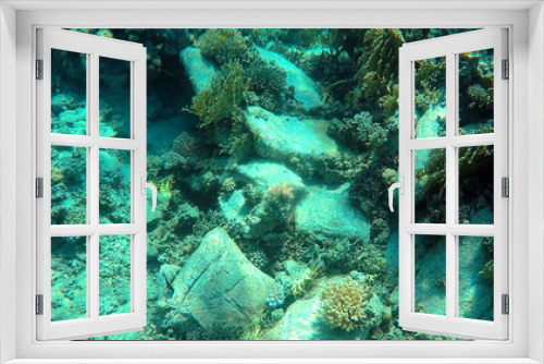 Fototapeta Naklejka Na Ścianę Okno 3D - A mysterious jumble of limestone building blocks at the bottom of the Red Sea. Sharm El Sheikh, Egypt 