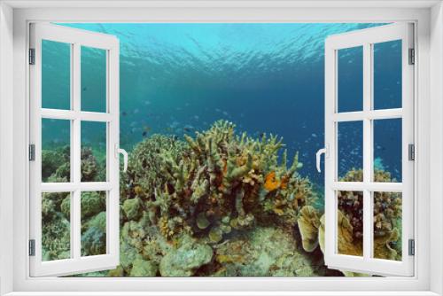 Fototapeta Naklejka Na Ścianę Okno 3D - Underwater world with coral reef and tropical fishes. Travel vacation concept