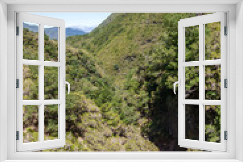 Fototapeta Naklejka Na Ścianę Okno 3D - Urwald auf Madeira