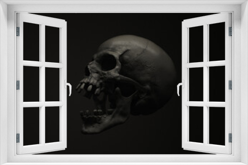 Fototapeta Naklejka Na Ścianę Okno 3D - Human skull with an open lower jaw on a Black isolated background. The concept of death, immortality, eternal life, horror. Acult symbol. Spooky Halloween symbol. 3D render