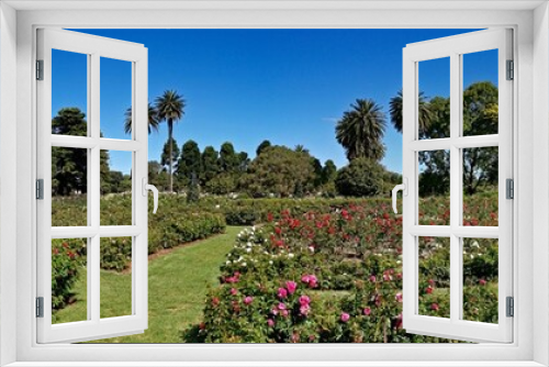 Fototapeta Naklejka Na Ścianę Okno 3D - Beautiful panoramic view of a garden with flowers and plants in the park, Centennial park, Sydney, New south Wales, Australia
