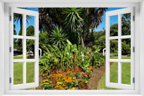 Fototapeta Naklejka Na Ścianę Okno 3D - Beautiful view of a garden with flowers and plants in the park, Centennial park, Sydney, New south Wales, Australia
