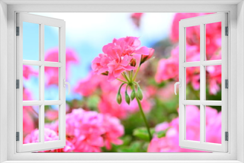 Fototapeta Naklejka Na Ścianę Okno 3D - ピンクと赤のかわいいお花畑