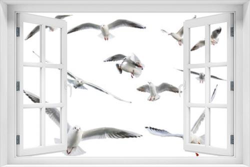 Fototapeta Naklejka Na Ścianę Okno 3D - Set of  flying seagulls isolated on white background.