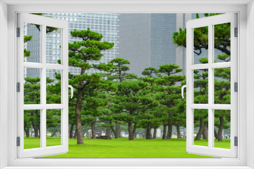 Fototapeta Naklejka Na Ścianę Okno 3D - Parco accanto al Palazzo Reale di Tokyo