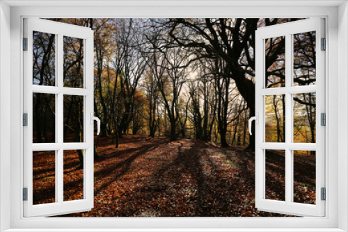 Fototapeta Naklejka Na Ścianę Okno 3D - The warm colors of autumn in Scotland