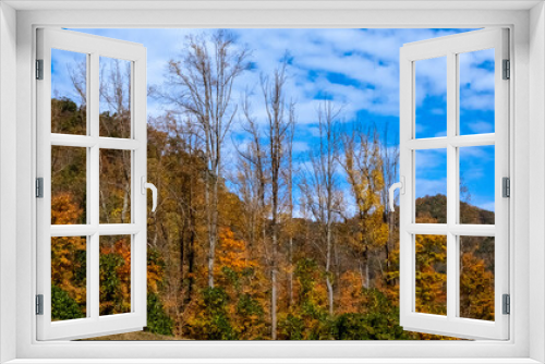 Fototapeta Naklejka Na Ścianę Okno 3D - Fall color Skyline Drive Virginia