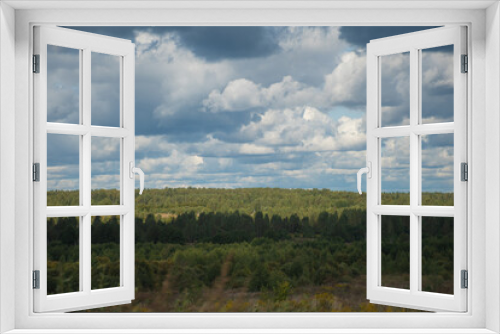 Fototapeta Naklejka Na Ścianę Okno 3D - Mixed forest horizon: green trees in the forest under a blue sky and clouds in summer, a place for text, ecology, careful attitude to nature