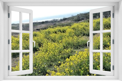 Fototapeta Naklejka Na Ścianę Okno 3D - field of yellow flowers