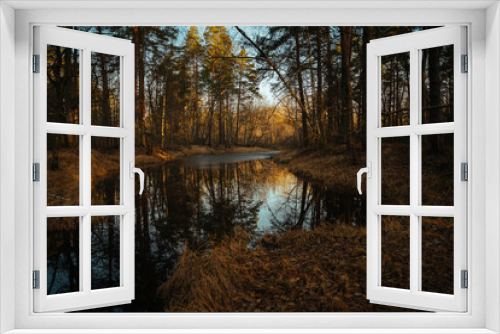 Fototapeta Naklejka Na Ścianę Okno 3D - Forest river