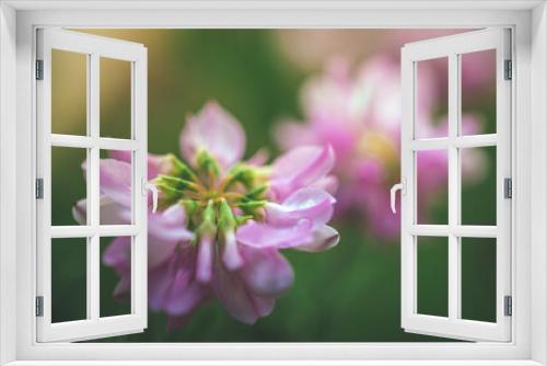 Fototapeta Naklejka Na Ścianę Okno 3D - Garden flower